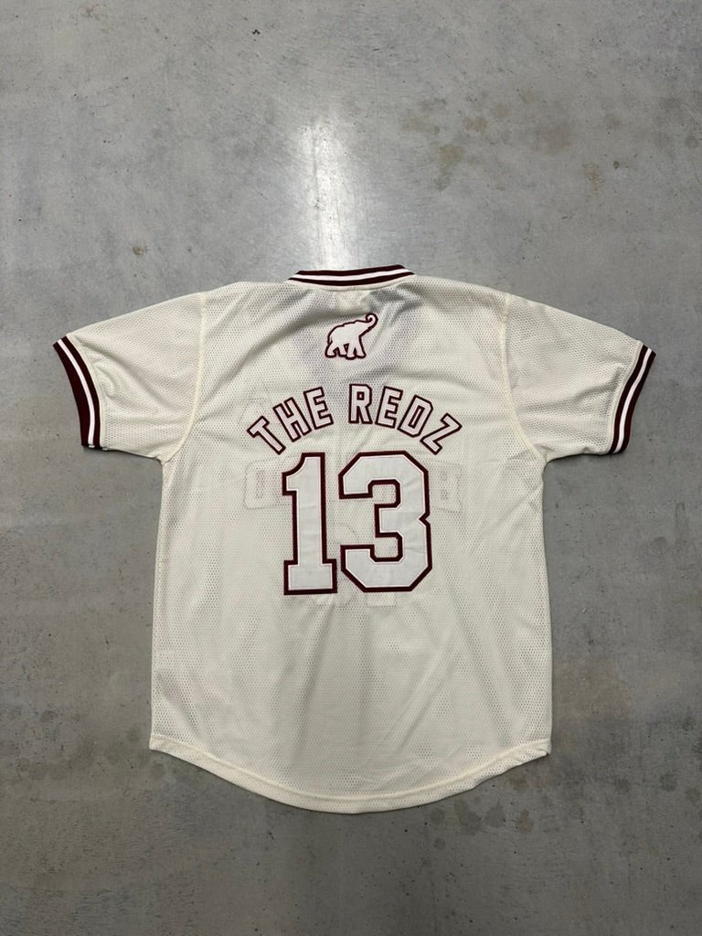 Delta College Baseball Mesh V - Neck Jersey - Size L - DVN