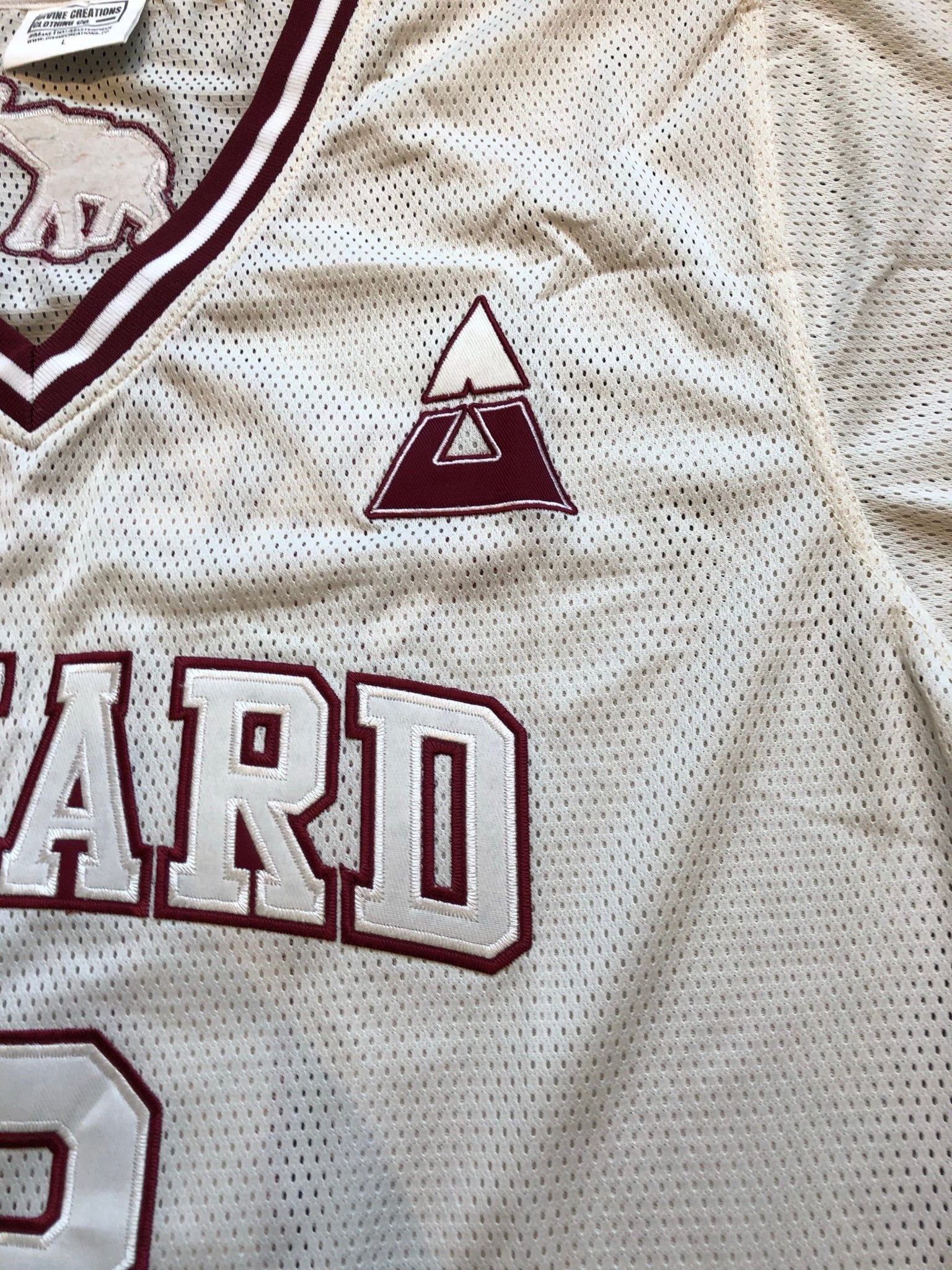 Delta College Baseball Mesh V - Neck Jersey - Size L - DVN