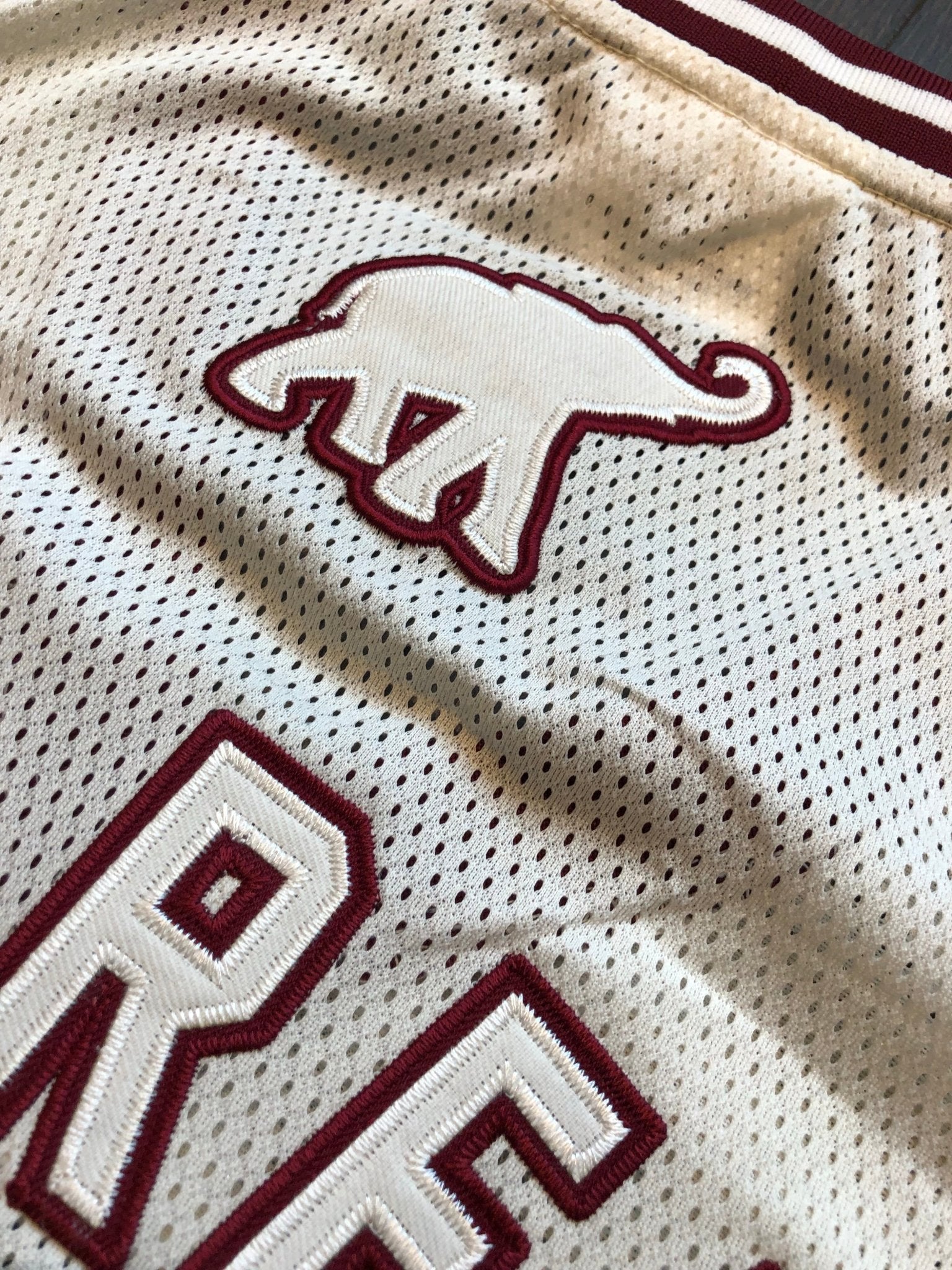 Delta College Baseball Mesh V - Neck Jersey - Size L - DVN